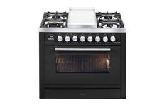 Professional Plus P09_W electric cooking suite